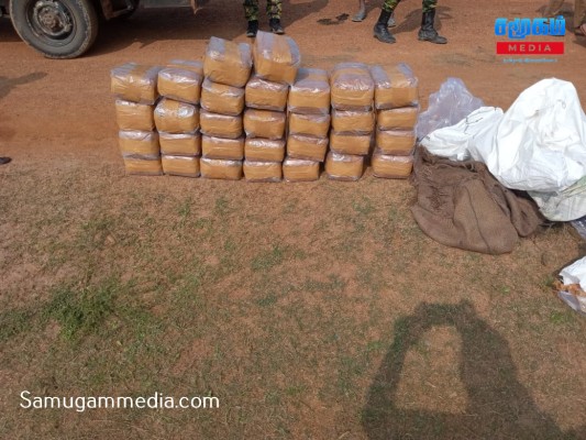 சட்டவிரோதமாக மறைத்து வைக்கப்பட்டிருந்த கஞ்சா மீட்பு! 